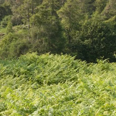 July Flowertree Barn Σπίτι διακοπών Newby Bridge